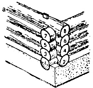 ������ ����������� ����:  ������������ ������