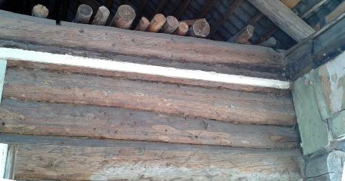 ����� �� �����