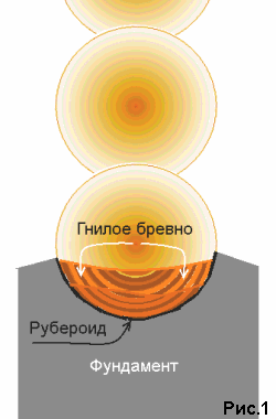 �������� ������ �����