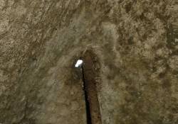 ����� � ������ ������