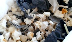 ���������� �� ������