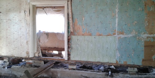 �������� ���� ����������� ����