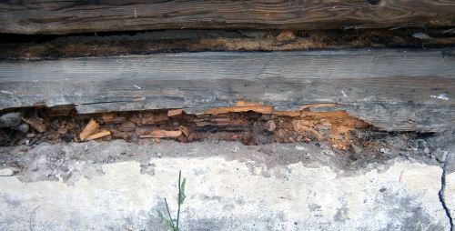 ���������� ������ � ����������