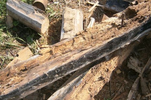 ���������� ����