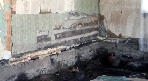 ����� ������� ����� �������