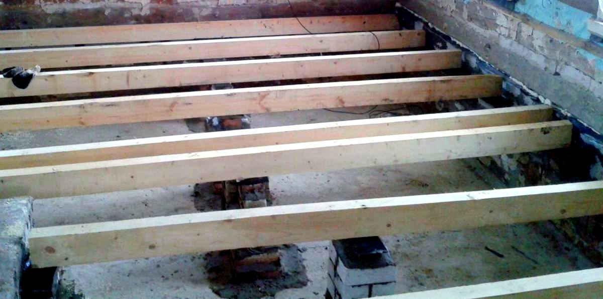 ���� ���� �� ��������� ���������