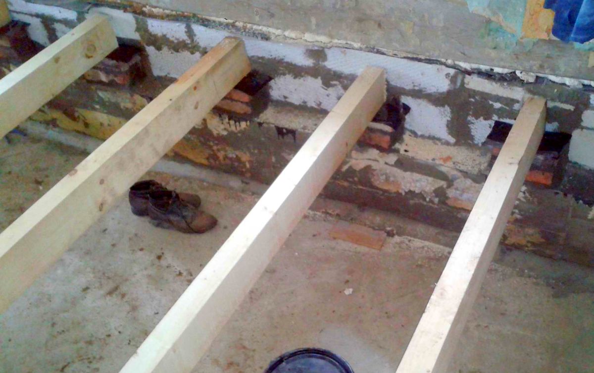 ���� ���� �� ��������� ����������