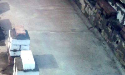 ������ ��������