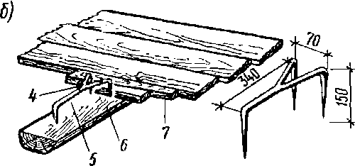 ������ ����� ���� ������ � ��������