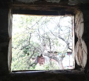 ���� ��� ������������ �����