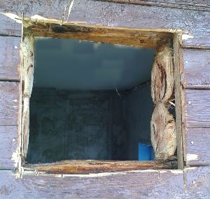 ���� ��� ��������� �����