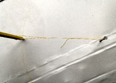 ��������� ����� �������