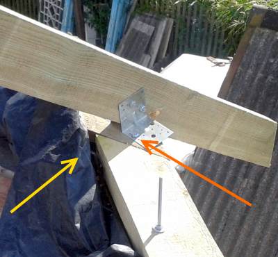 ������ �������