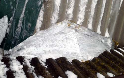 ������ � ���������