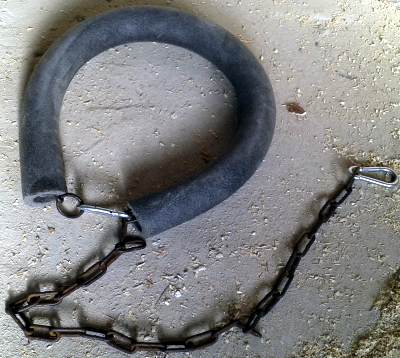 ����������� ��������� ����