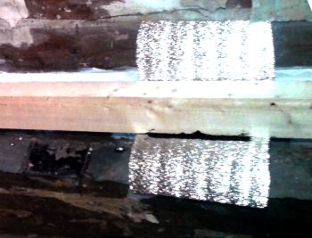 ��������� ��� ���� ����� �����