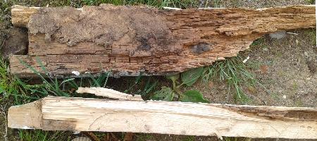 ������ ����������