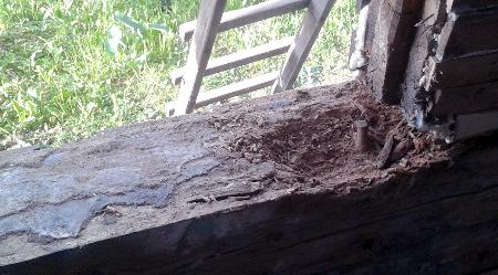 ������ ��� ������������