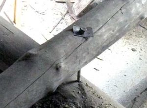 ������ ����� ���������