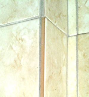 ���� ��������� ������ � ��������