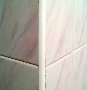 ���� ������ � ����������� ��������