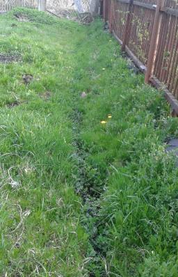 ����������� ���������� ������