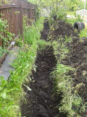 ���������� ����������� �������