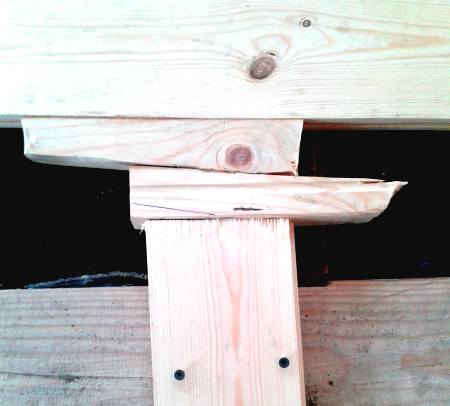 ����������� ���� ��������