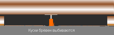 ���� ����� �����