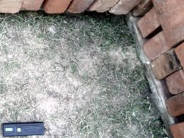 ��������������� ����� �������