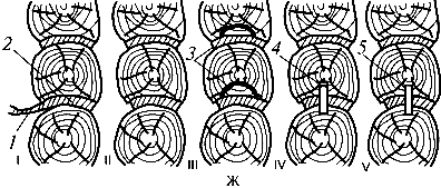 ������������ ����, ���������� ������ � ��������� ����� 