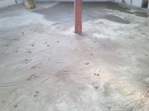 ������� ������