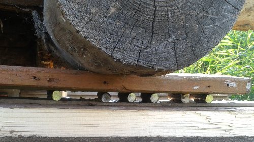 ��������� ��� ������ �����