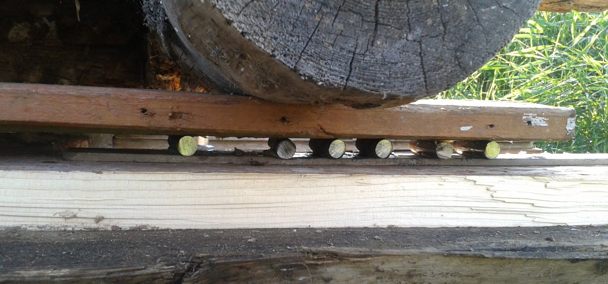 ��������� ��� ������ ��� ����������� ���������