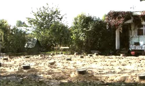 ���������� ���� ����������