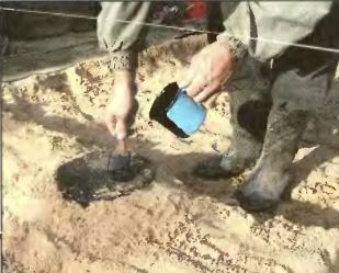 ������������� ����� �����