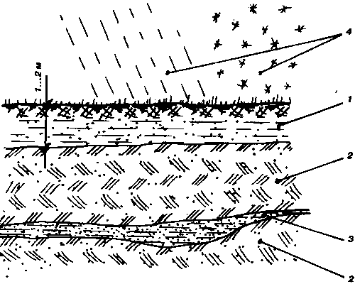 ����� ��������� ���