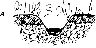 ��������� ����� ������