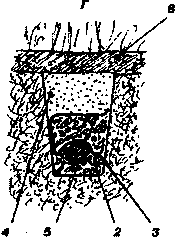 ��������� ����� �����