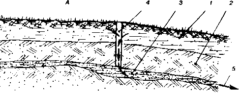 ����� ���������� � �������