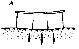 ���������� ���������� ������