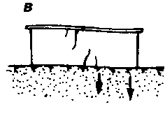 ���������� ���������� �����