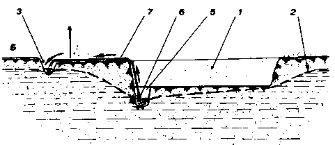 ������ �������� ������