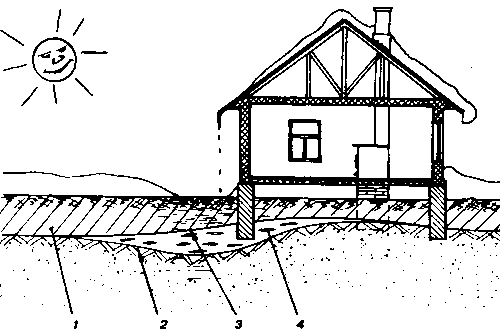 ����� �������� ������ ����