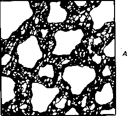 ����� � ������ � �������� ���������