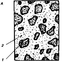 ������������������� �������� �����