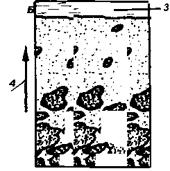 ������������� �������� �����