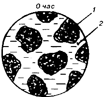 �������������� ����� �������