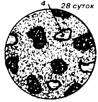 ��������� �������