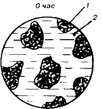 �������������� ����� �������